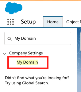 salesforce domain